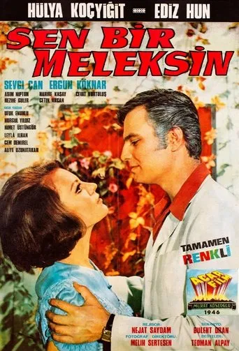 Póster de Sen Bir Meleksin