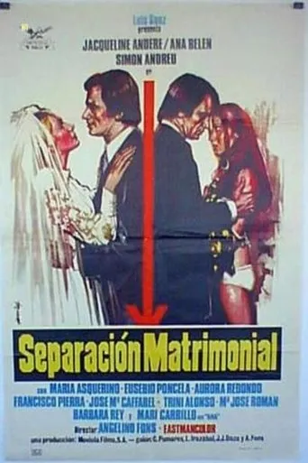 Póster de Separación matrimonial