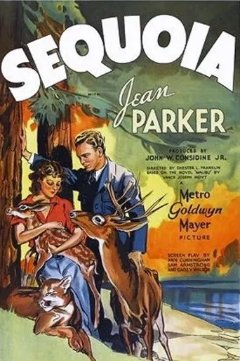 Póster de Sequoia
