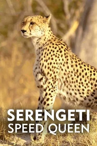 Póster de Serengeti Speed Queen