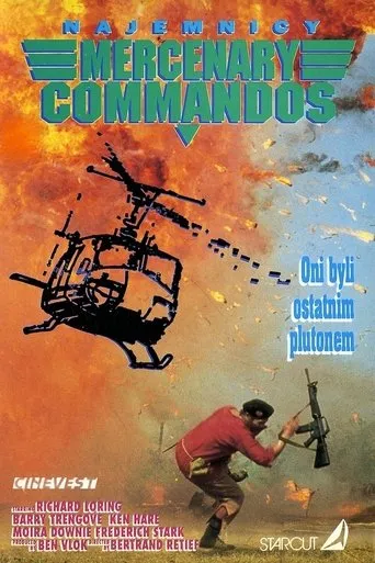 Póster de Ses Soldate