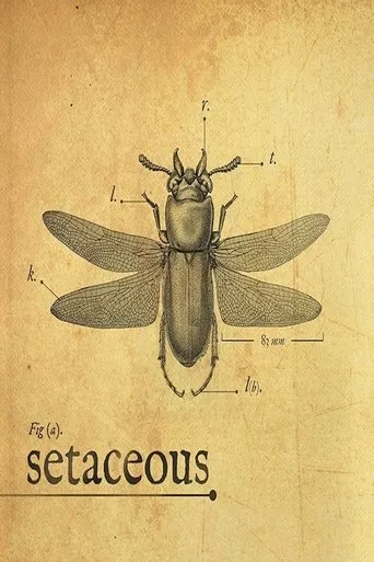 Póster de Setaceous