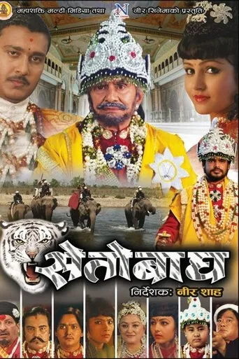 Póster de Seto Bagh