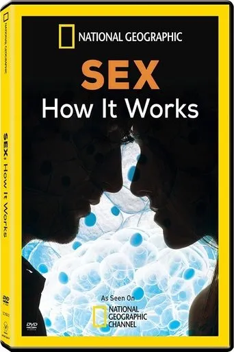 Póster de Sex How It Works