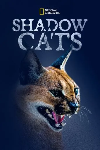 Póster de Shadow Cats