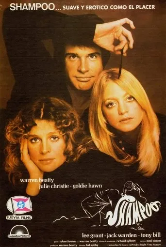 Póster de Shampoo