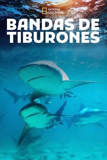 Póster de Shark Gangs
