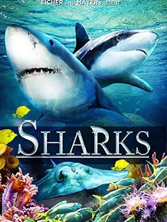 Póster de Sharks (in 3D)