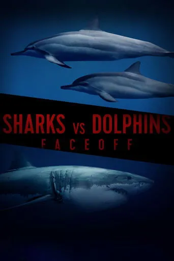 Póster de Sharks Vs. Dolphins: Face Off