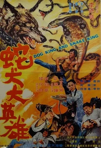 Póster de She quan da ying xiong