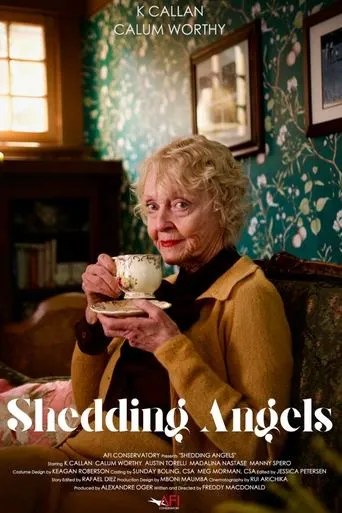 Póster de Shedding Angels