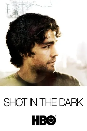 Póster de Shot In The Dark