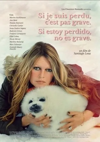 Póster de Si estoy perdido, no es grave