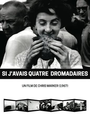 Póster de Si j'avais quatre dromadaires