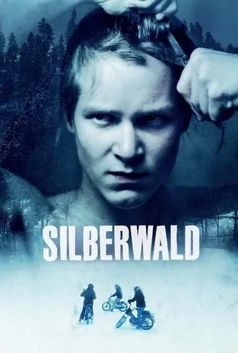 Póster de Silberwald