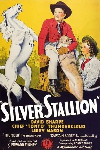 Póster de Silver Stallion