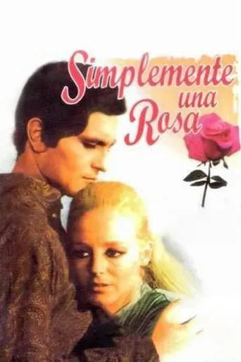 Póster de Simplemente una rosa