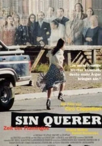 Póster de Sin querer