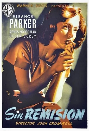 Póster de Sin remisión