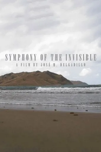 Póster de Sinfonía de lo invisible