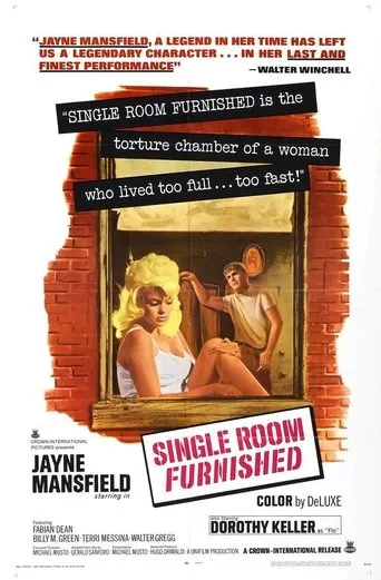 Póster de Single Room Furnished