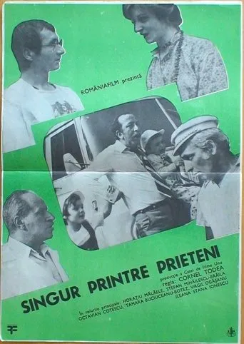 Póster de Singur printre prieteni