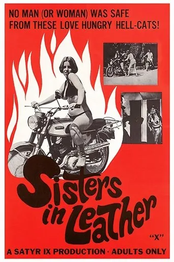 Póster de Sisters in Leather