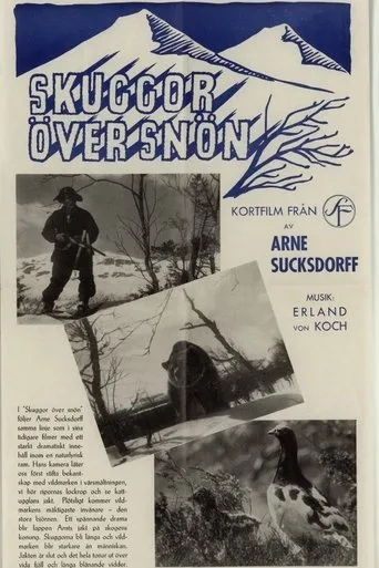Póster de Skuggor över snön