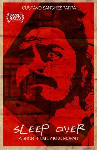 Póster de Sleep Over