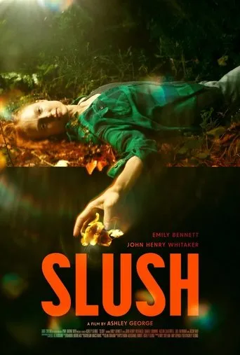 Póster de Slush