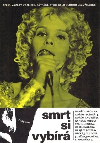 Póster de Smrt si vybírá