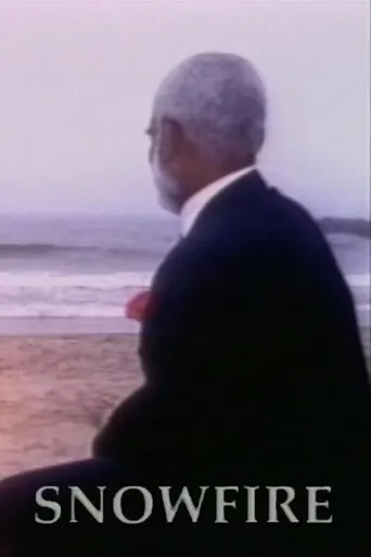 Póster de Snowfire