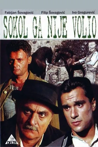 Póster de Sokol ga nije volio