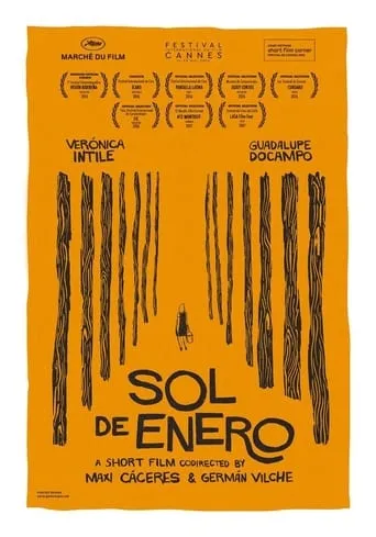 Póster de Sol de enero