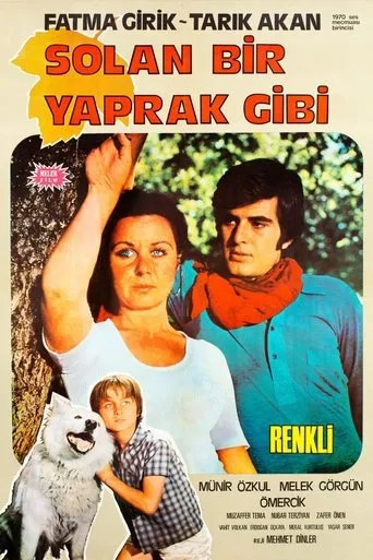 Póster de Solan Bir Yaprak Gibi