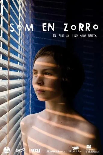 Póster de Som en Zorro