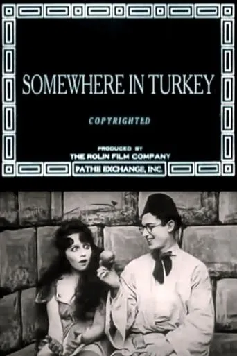 Póster de Somewhere in Turkey