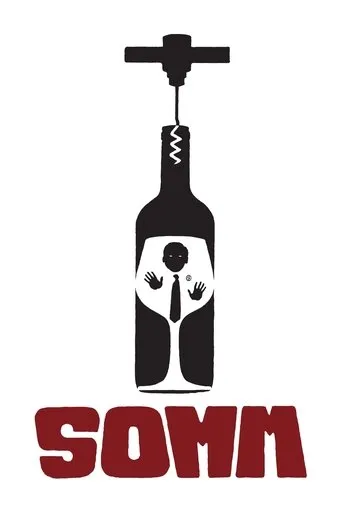 Póster de Somm