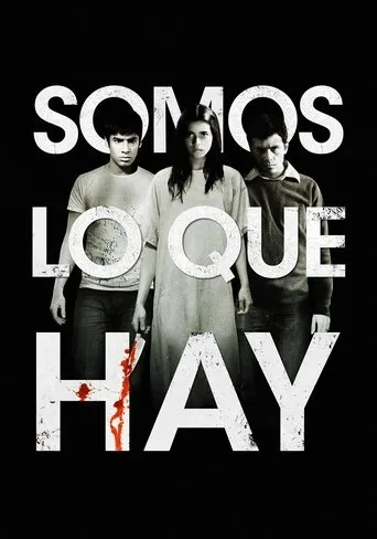 Póster de Somos lo que hay