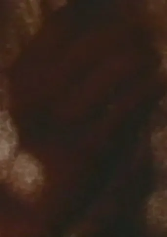 Póster de Song 5