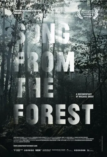 Póster de Song from the Forest