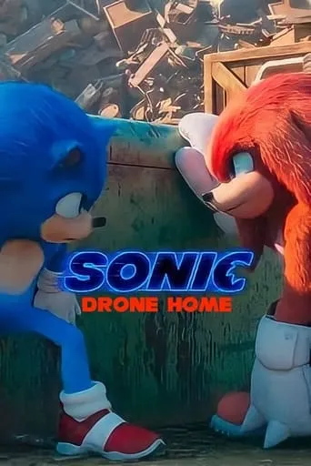 Póster de Sonic Drone Home