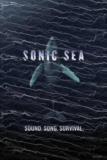 Póster de Sonic Sea