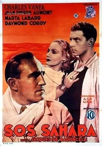 Póster de S.O.S. Sahara