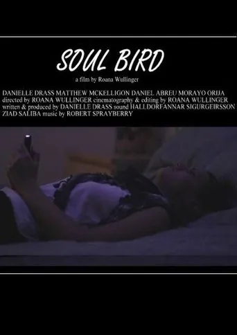 Póster de Soul Bird