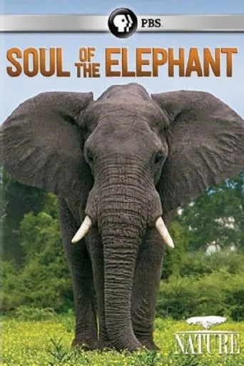 Póster de Soul of the Elephant