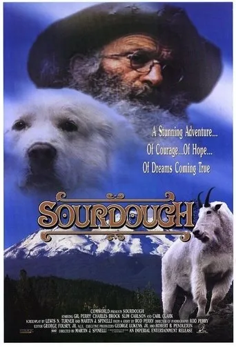 Póster de Sourdough