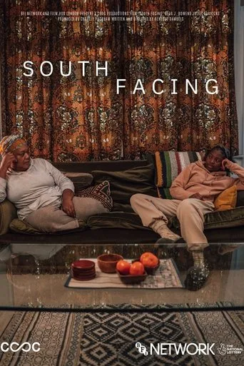 Póster de South Facing