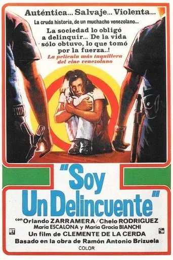 Póster de Soy un delincuente