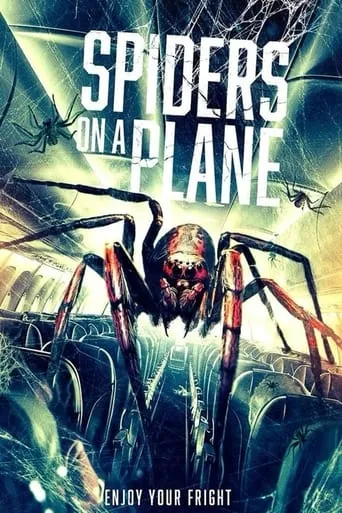 Póster de Spiders on a Plane